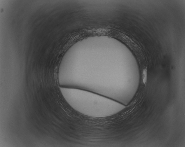 X0000086271395200703291025