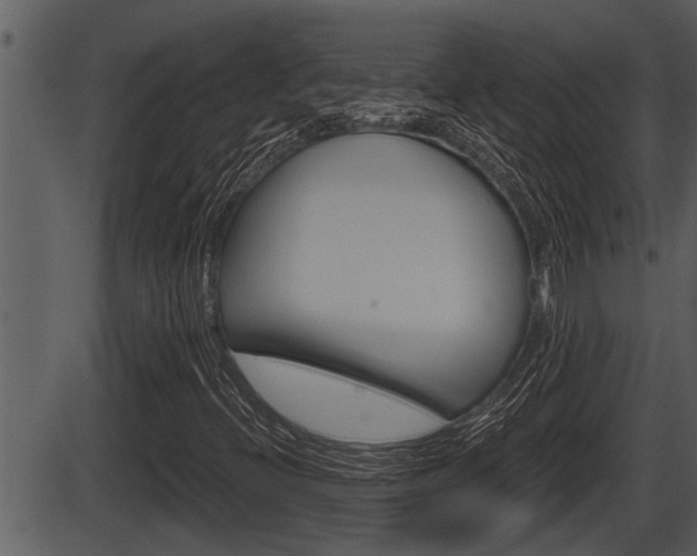 X0000086271396200703291025