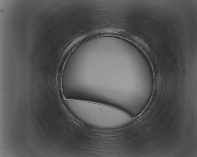 X0000086271404200703291025