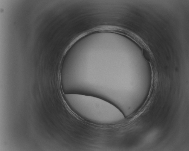 X0000086271417200703291025