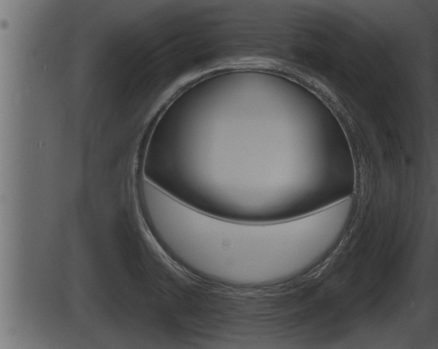 X0000086271422200703291025
