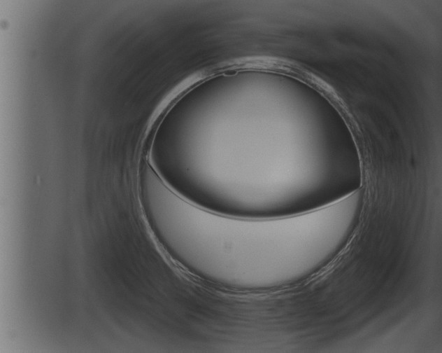 X0000086271426200703291025