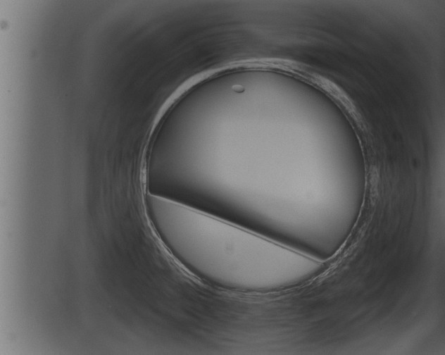 X0000086271428200703291025