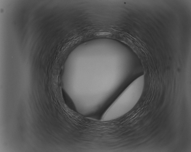 X0000086271441200703291024