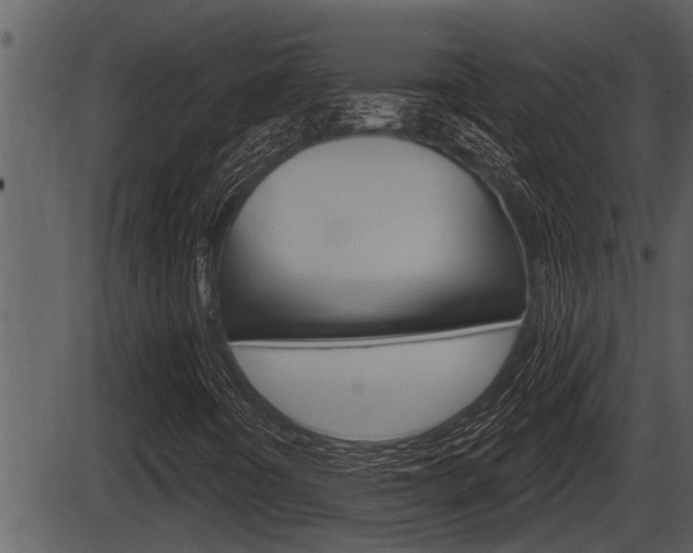 X0000086271442200703291024