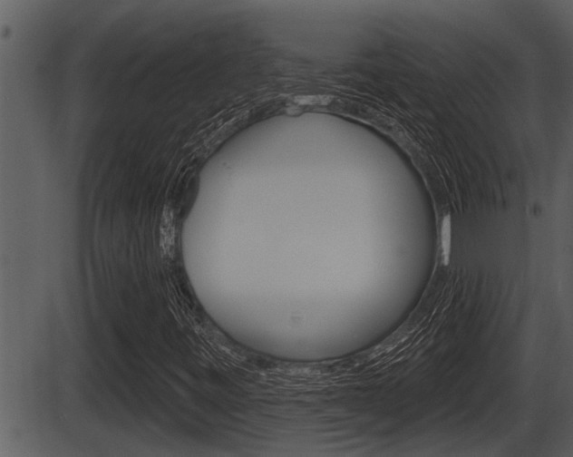 X0000086271443200703291024