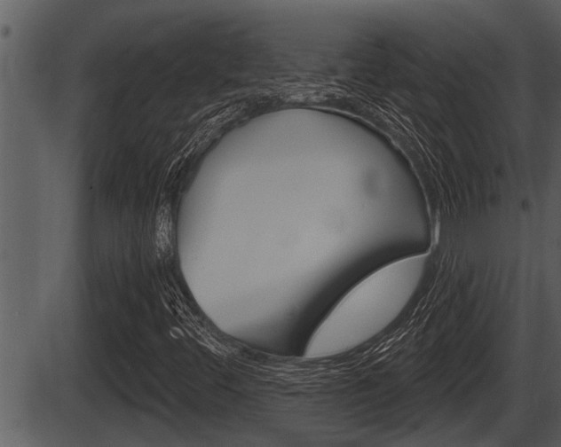 X0000086271444200703291024