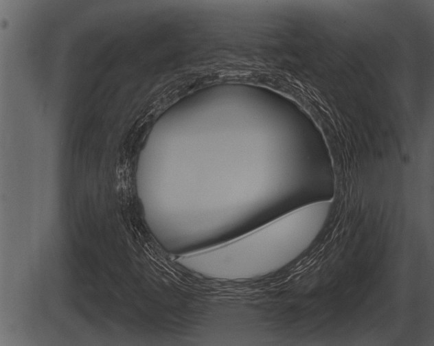 X0000086271445200703291024