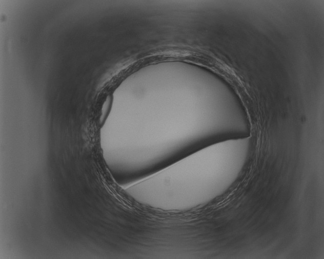 X0000086271448200703291024