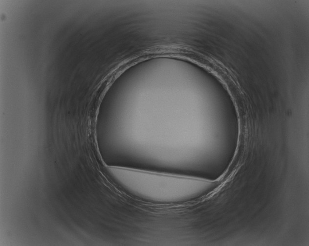 X0000086271449200703291024