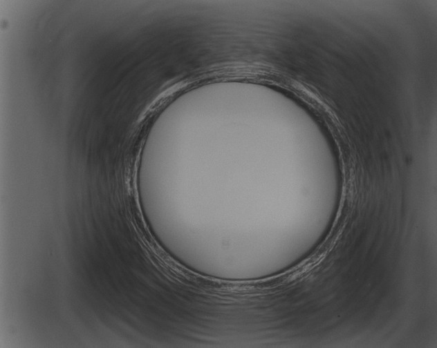 X0000086271451200703291024