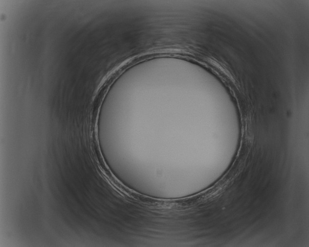 X0000086271452200703291024