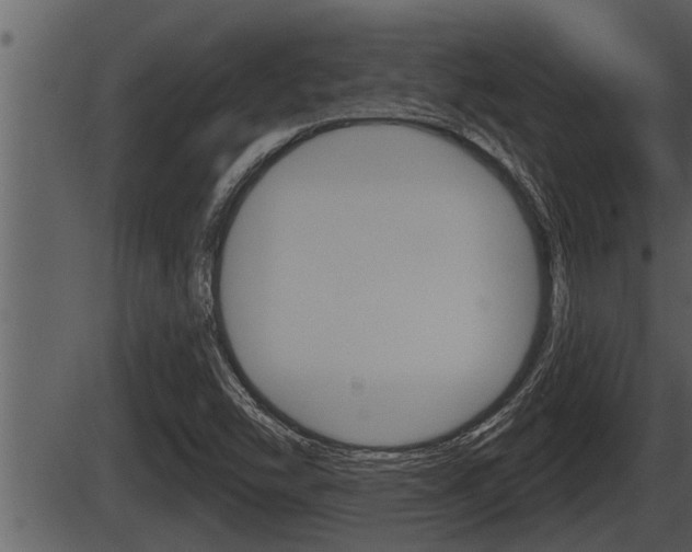 X0000086271454200703291024
