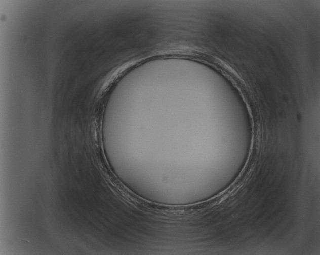 X0000086271455200703291024