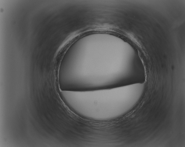 X0000086271456200703291024