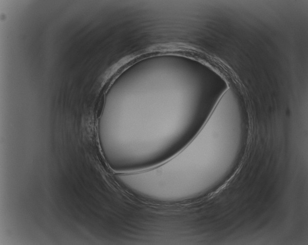 X0000086271457200703291024