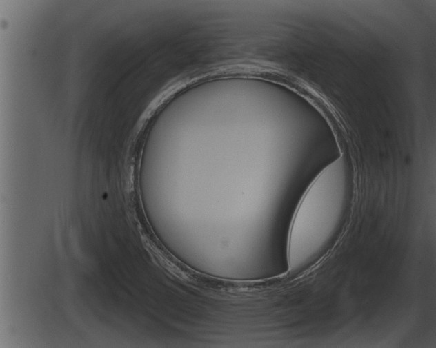 X0000086271459200703291024