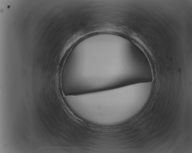 X0000086271460200703291024