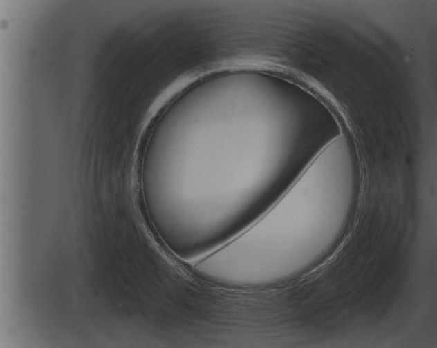 X0000086271469200703291024
