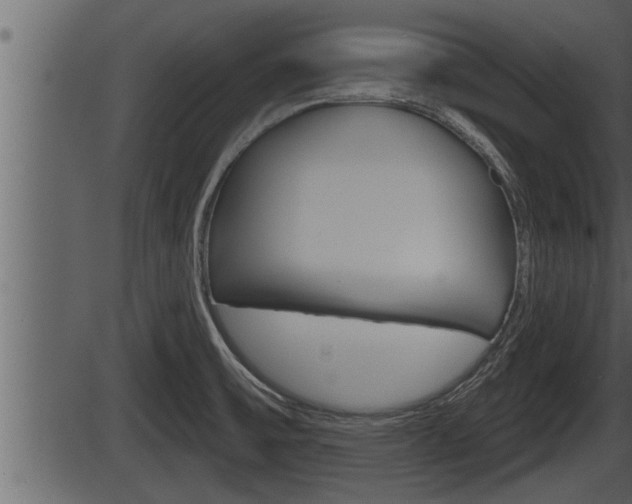 X0000086271475200703291024