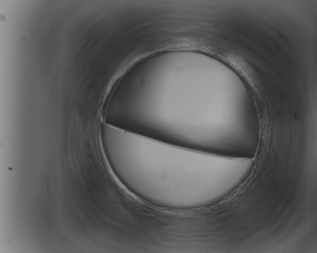 X0000086271476200703291024
