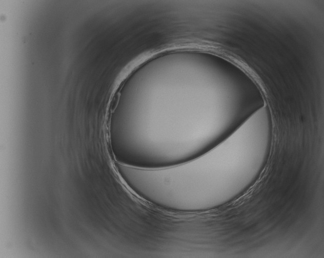 X0000086271485200703291024