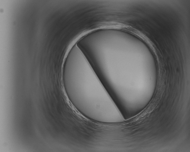 X0000086271488200703291024