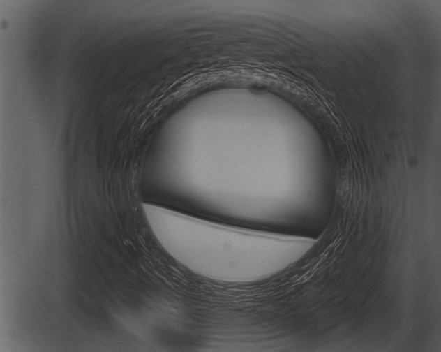 X0000086271490200703291023