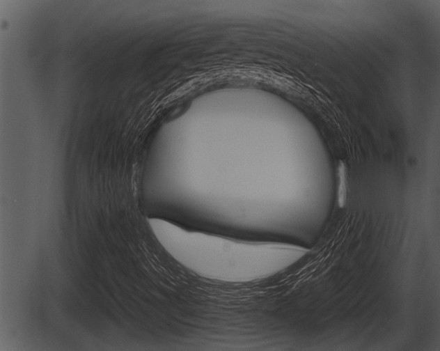 X0000086271491200703291023