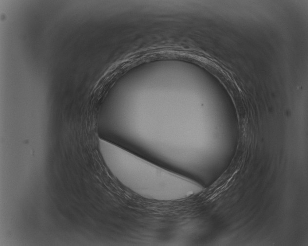 X0000086271494200703291023