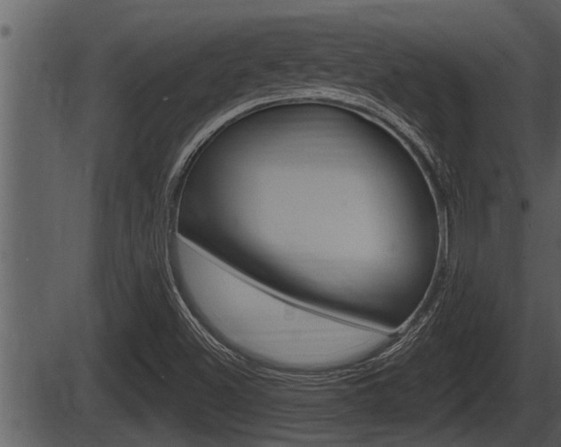 X0000086271500200703291023