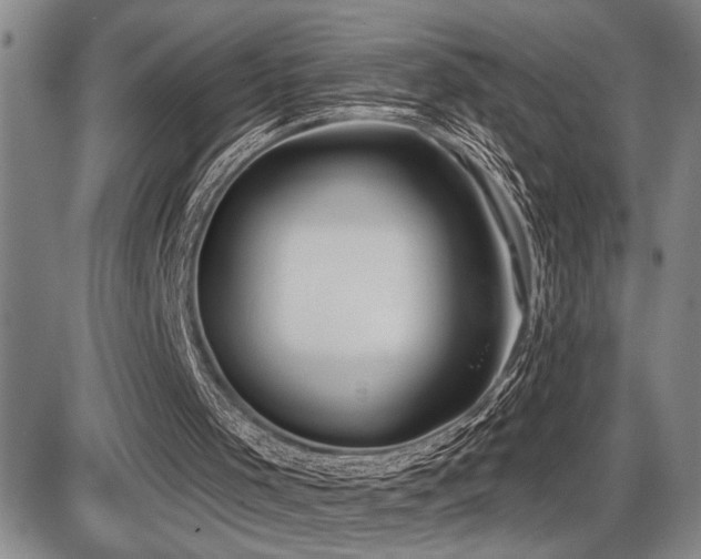 X0000086270001200703291447