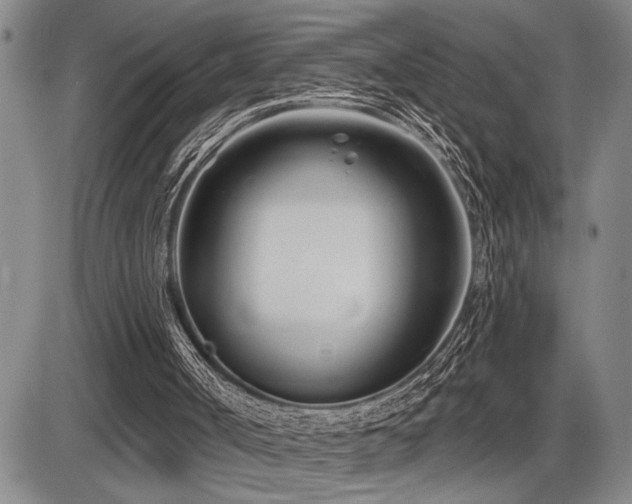 X0000086270002200703291447