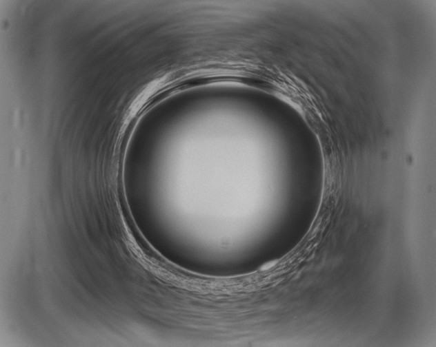 X0000086270003200703291447