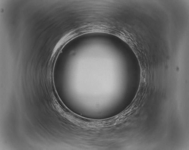 X0000086270004200703291447