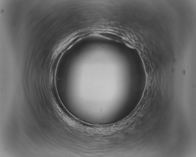 X0000086270005200703291447