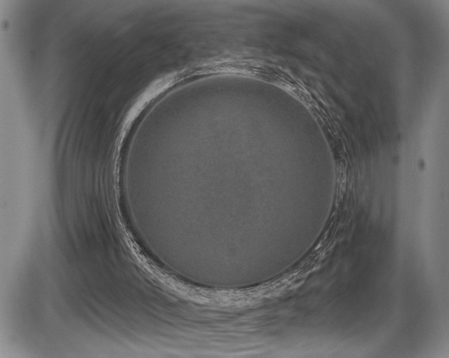 X0000086270006200703291447