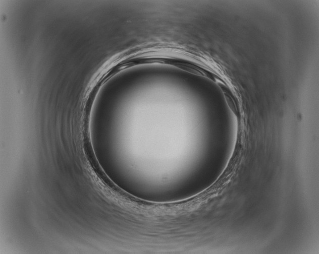 X0000086270007200703291447