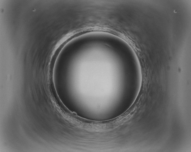 X0000086270008200703291447