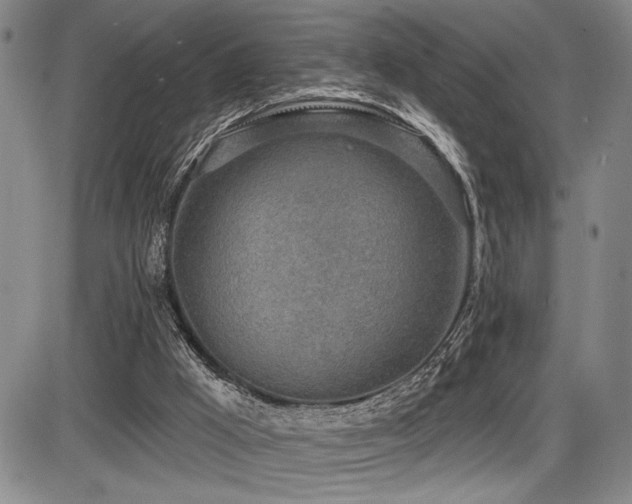 X0000086270009200703291447