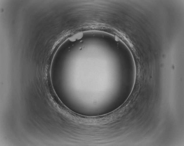 X0000086270010200703291447