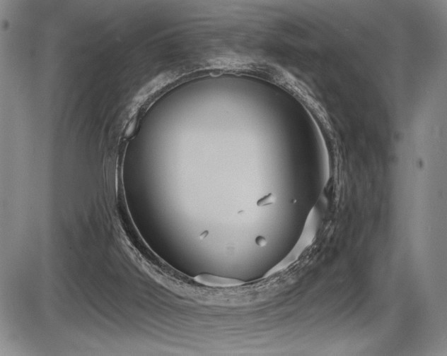 X0000086270011200703291447