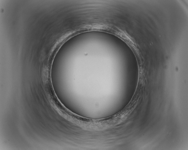 X0000086270012200703291447