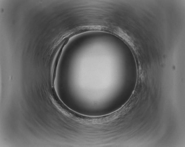 X0000086270013200703291447