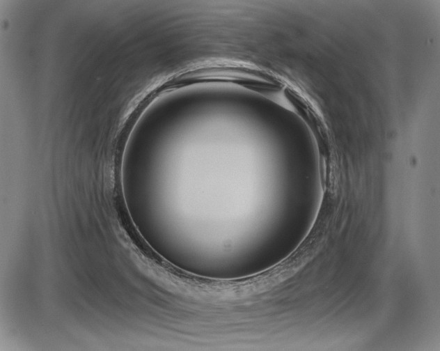 X0000086270015200703291447