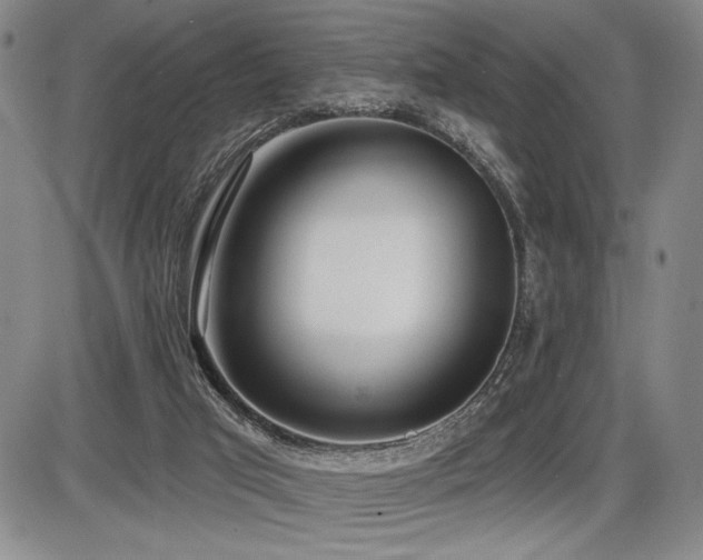 X0000086270017200703291447