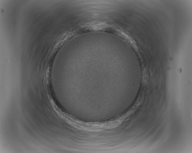 X0000086270018200703291447