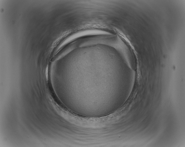 X0000086270019200703291447