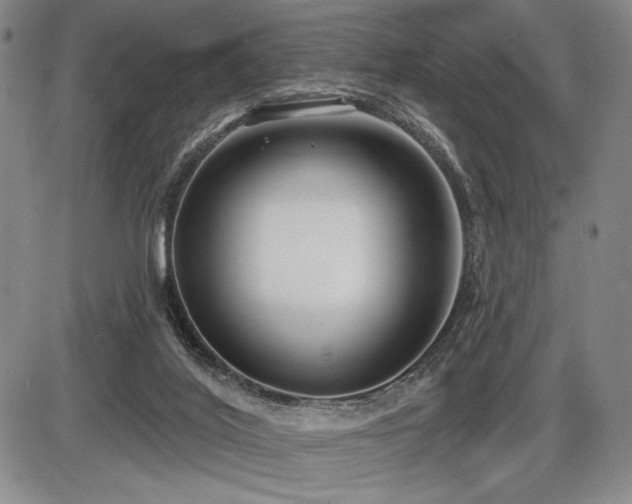 X0000086270020200703291447