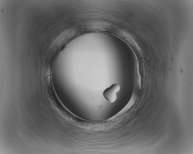 X0000086270021200703291447